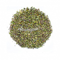 Oregano